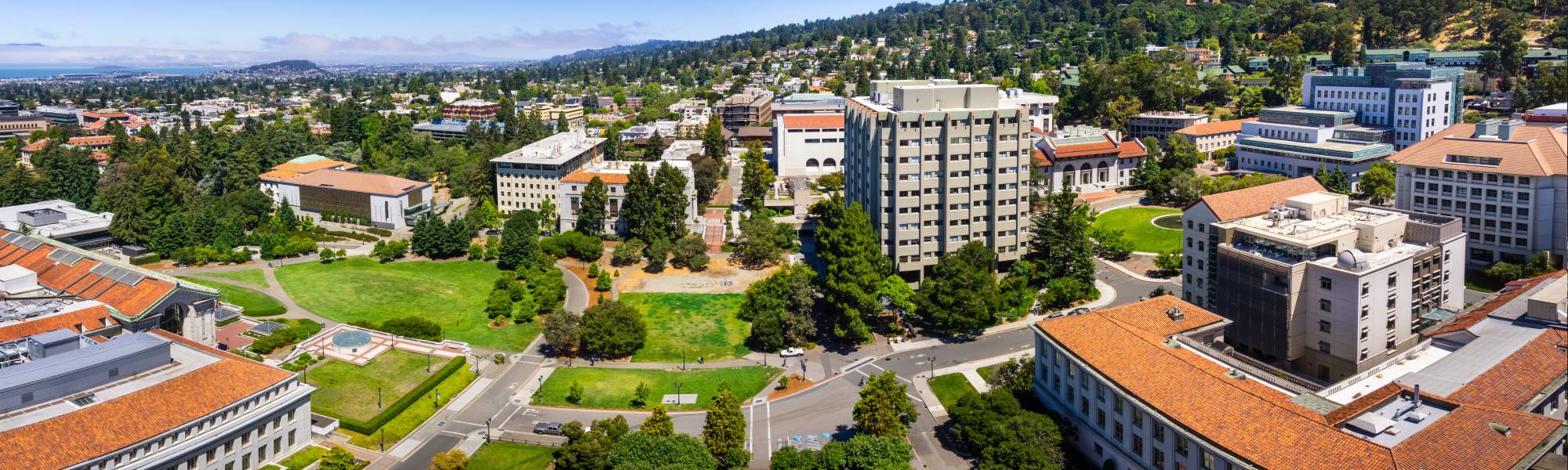 Berkeley Haas EMBA Essay Tips 2024